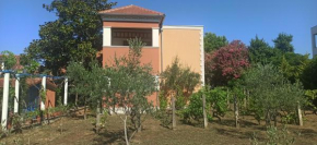 Apartments Rolovina